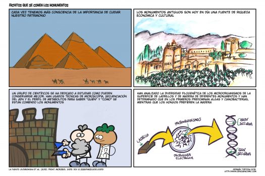 Degradación monumentos