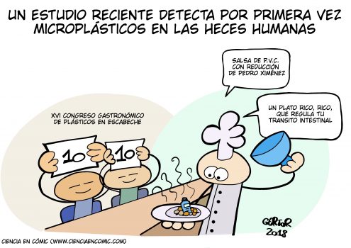 PVC en su salsa