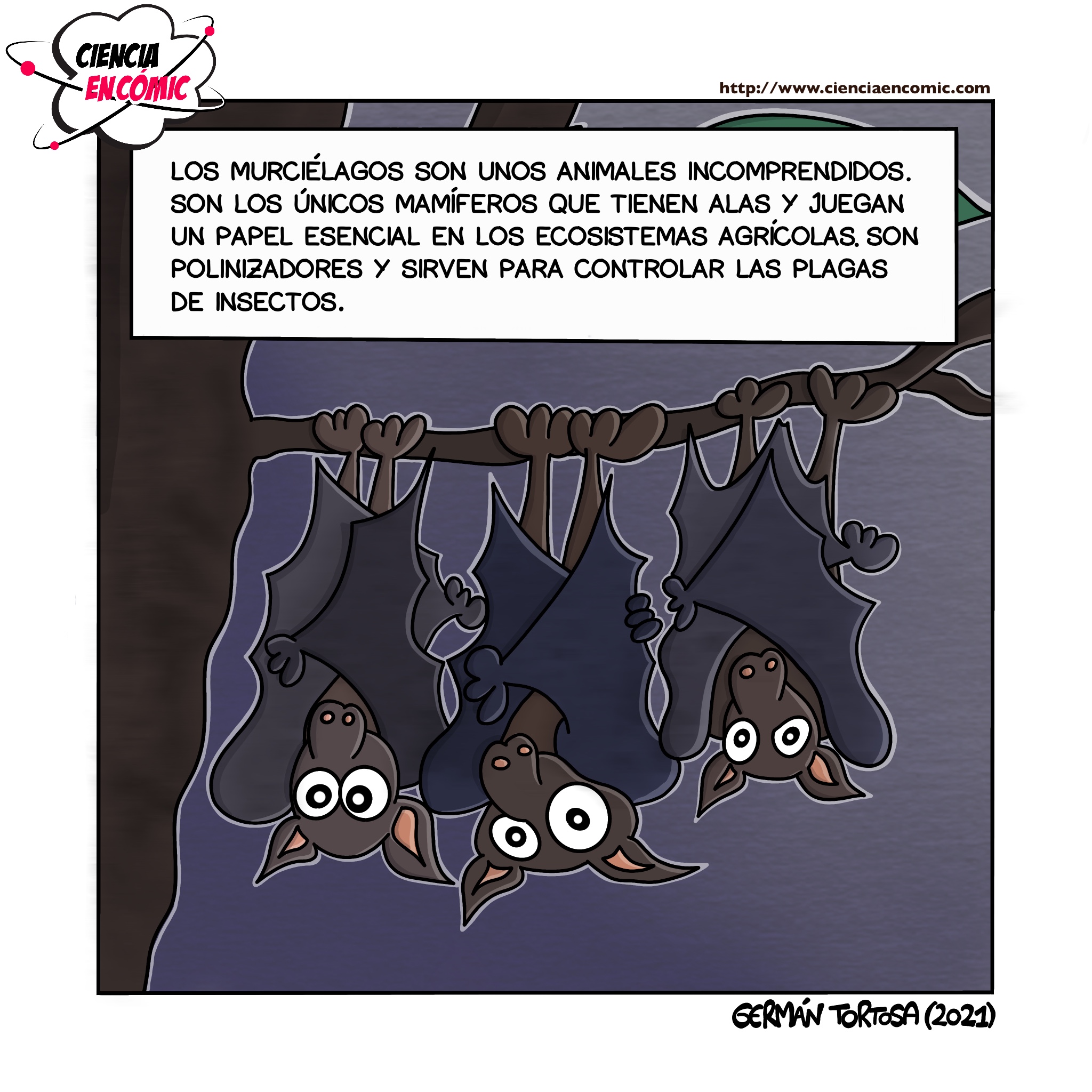 Los murciélagos