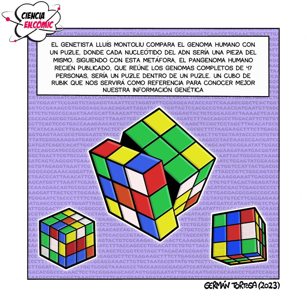 El pangenoma de Rubik