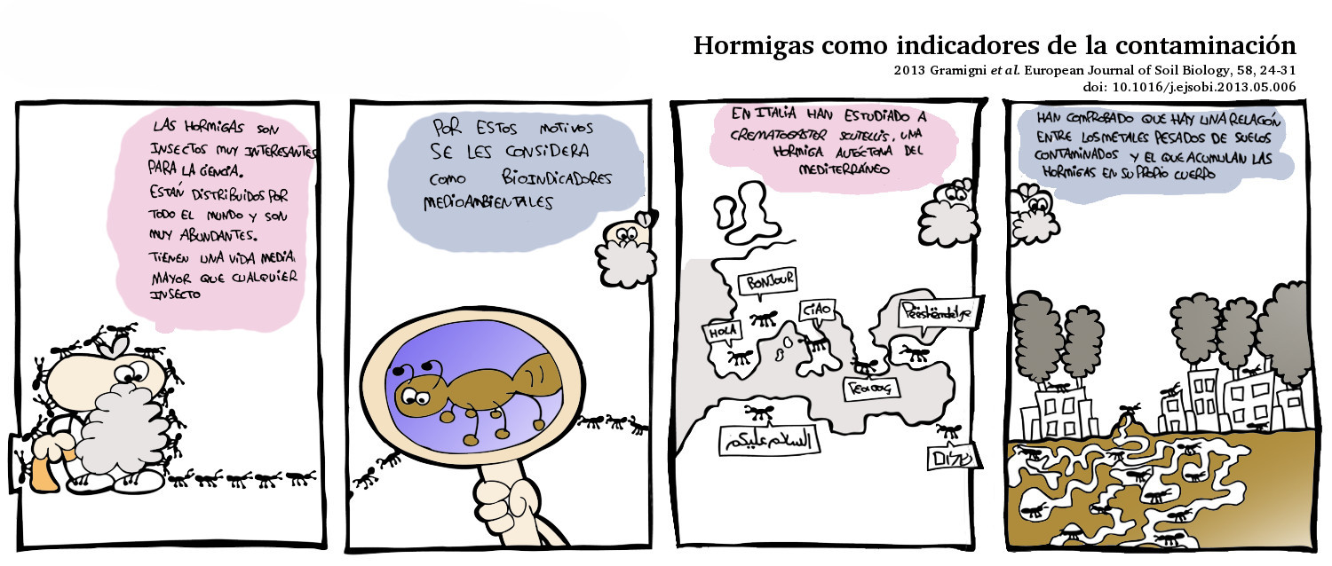 Las hormigas son bioindicadores de contaminación ambiental