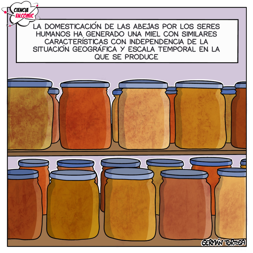 Domesticación de las abejas y su miel