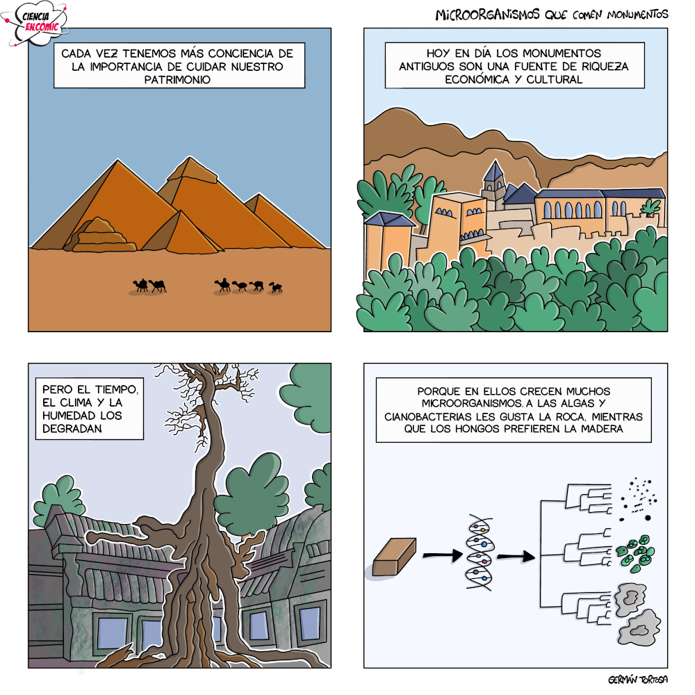 Microorganismos que comen monumentos