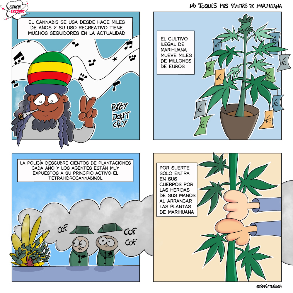 No toques mis plantas de marihuana