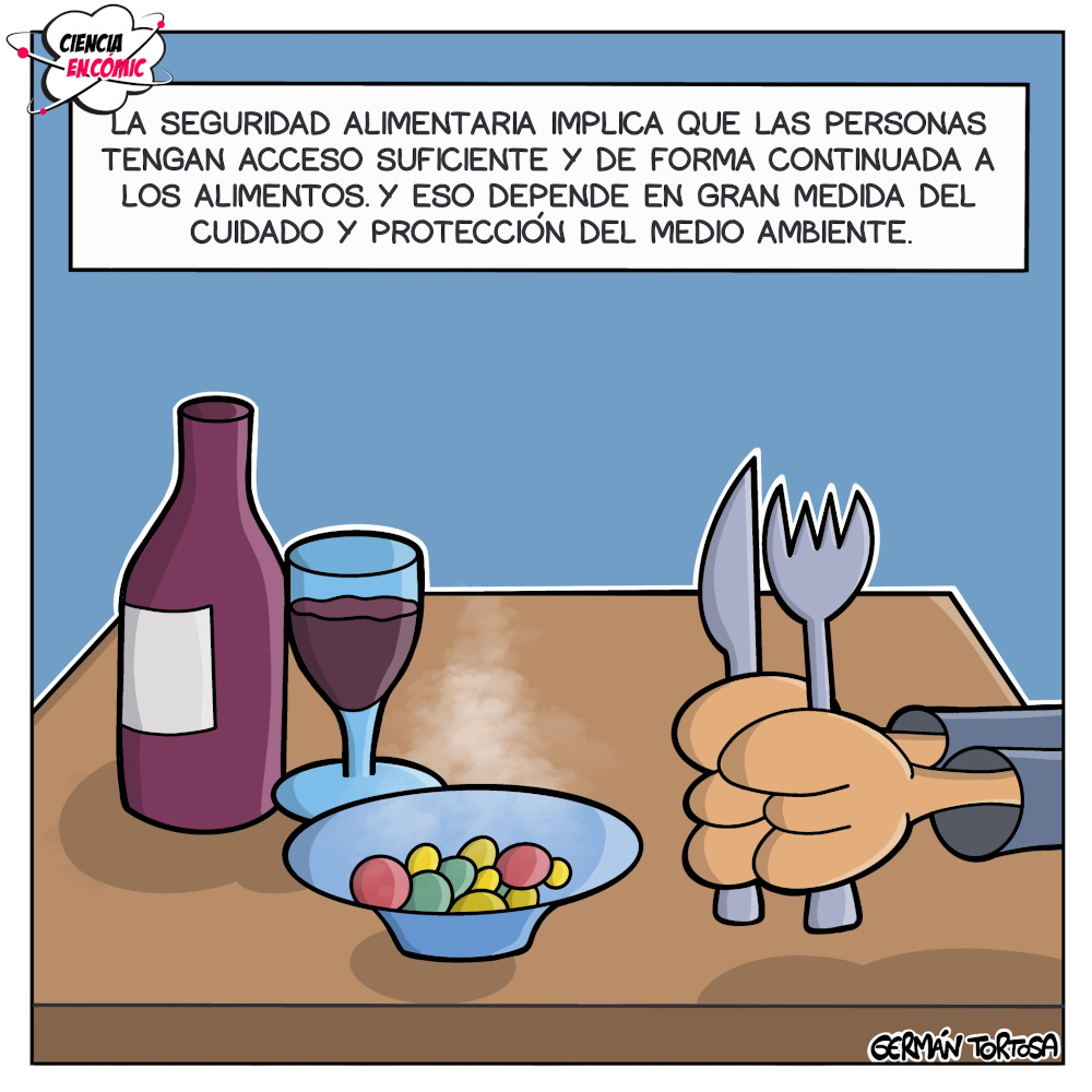 Seguridad alimentaria