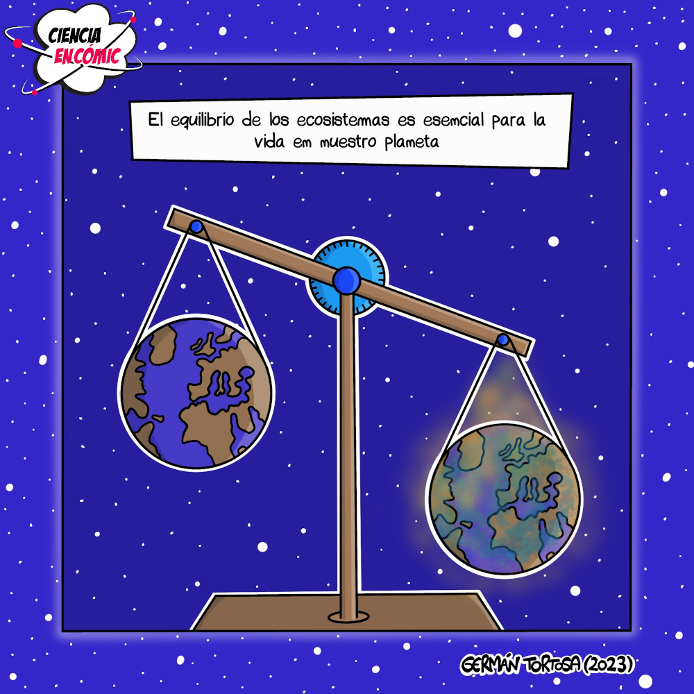 El equilibrio de los ecosistemas es esencial para la vida en nuestro planeta