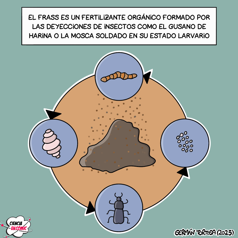 Frass o estiércol de insecto